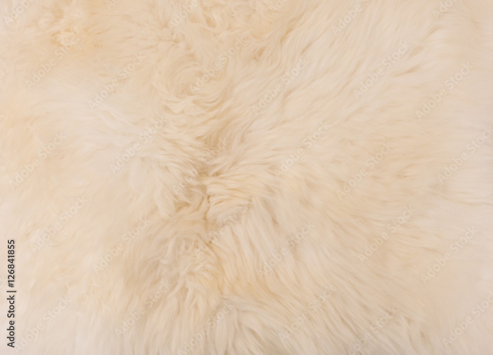 Detail of A Fluffy Wool Texture Background Detail of A Fluffy Wool Texture Background
