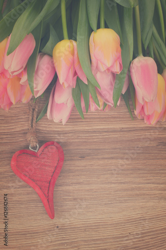blooming pink tulips laying on table with heart, retro toned