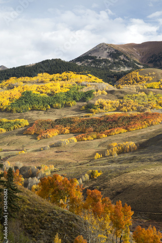 Colorado Autumn Color