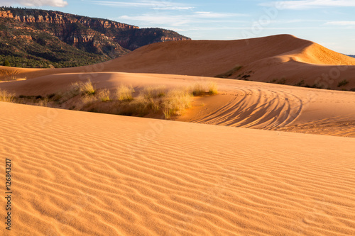 Fototapeta Naklejka Na Ścianę i Meble -  Coral Pink Sand Dunes State Park Utah