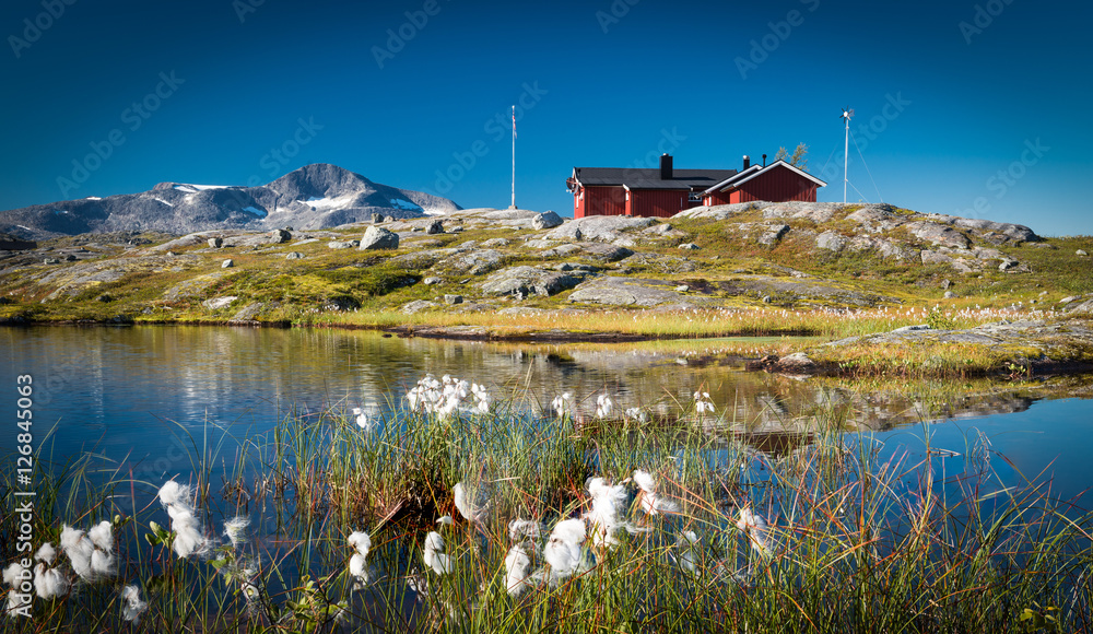 Fototapeta Kabiny pomalowane na czerwono na granicy Norwegii i Szwecji