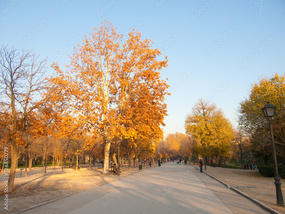 Parque en otoño