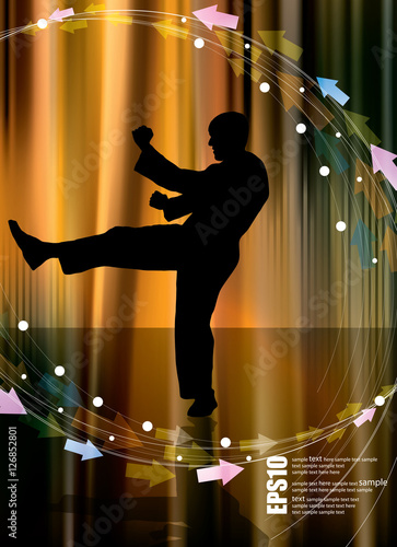 Karate silhouette background. Vector illustration