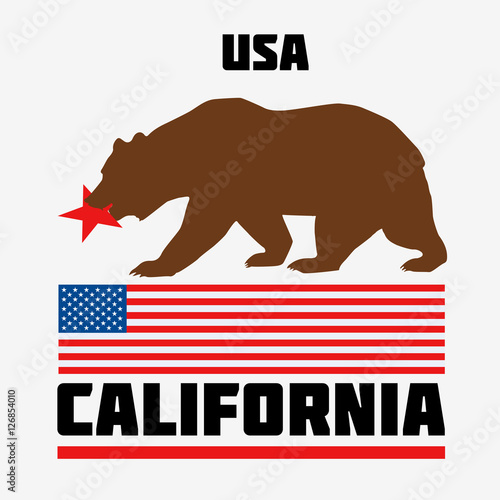 State of California Flag