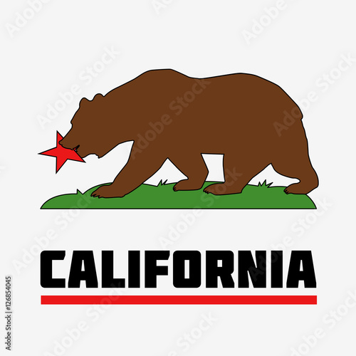 State of California Flag