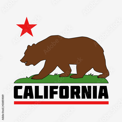 State of California Flag