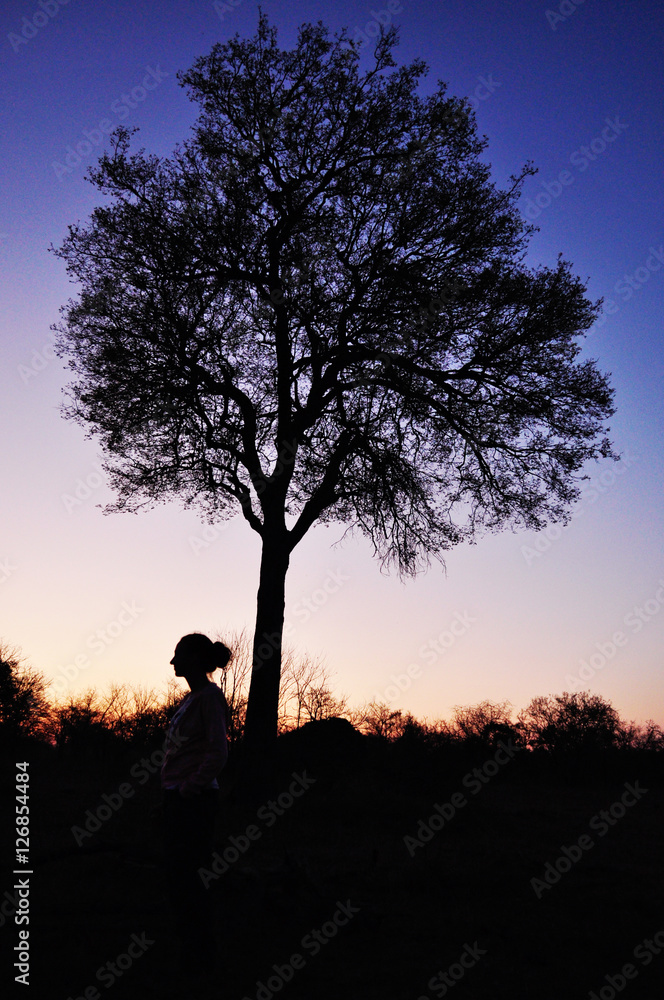 Sud Africa, 28/09/2009: profilo di donna con albero al tramonto nel Kruger National Park, la più grande riserva naturale del Sudafrica fondata nel 1898 