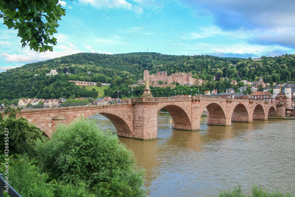 Heidelberger Stadtpanorama