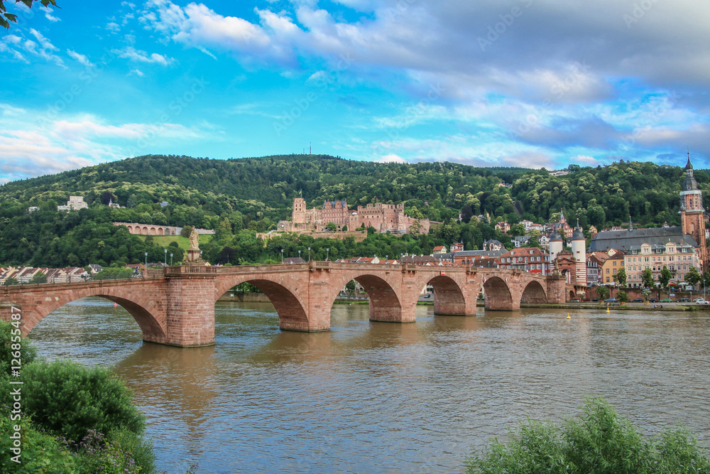 Heidelberger Stadtpanorama