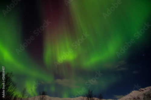 Fototapeta Naklejka Na Ścianę i Meble -  Aurora Boreale