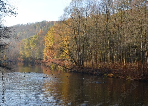 Flusslandschaft im November mit Enten