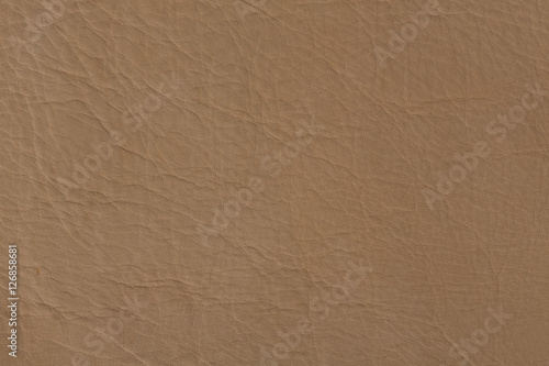 Blege leather texture close up.