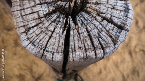 Close up shot of a wooden pole on the beach in Zeeland, Netherla photo