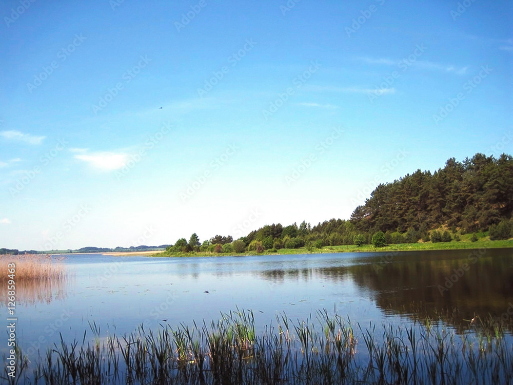 lake and forest