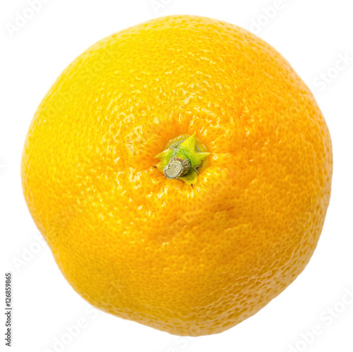 one orange mandarin isolated