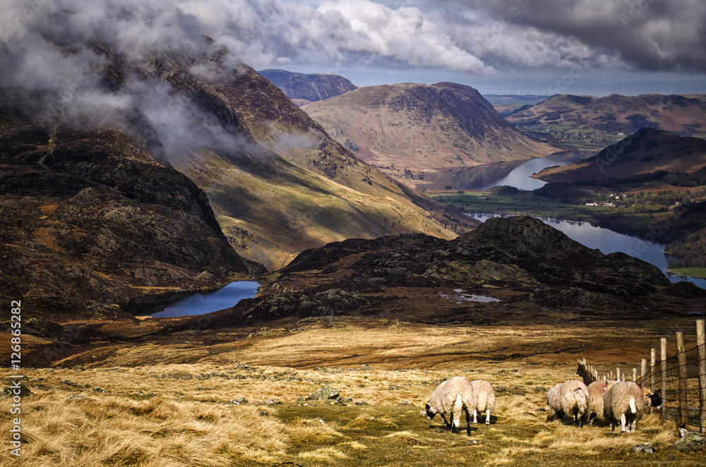 Fototapeta premium Lake District Landscape