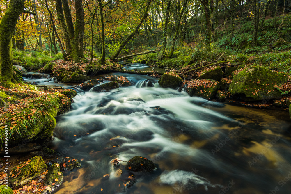 Fast flowing wild creek in forest Fast flowing wild creek in forest