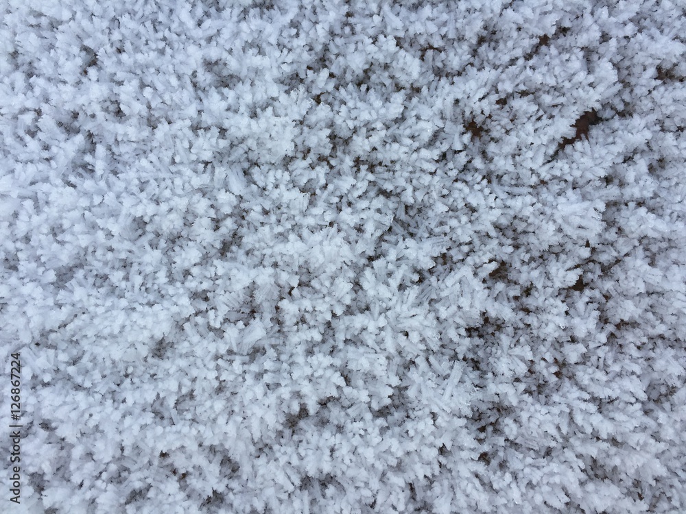 winter winter