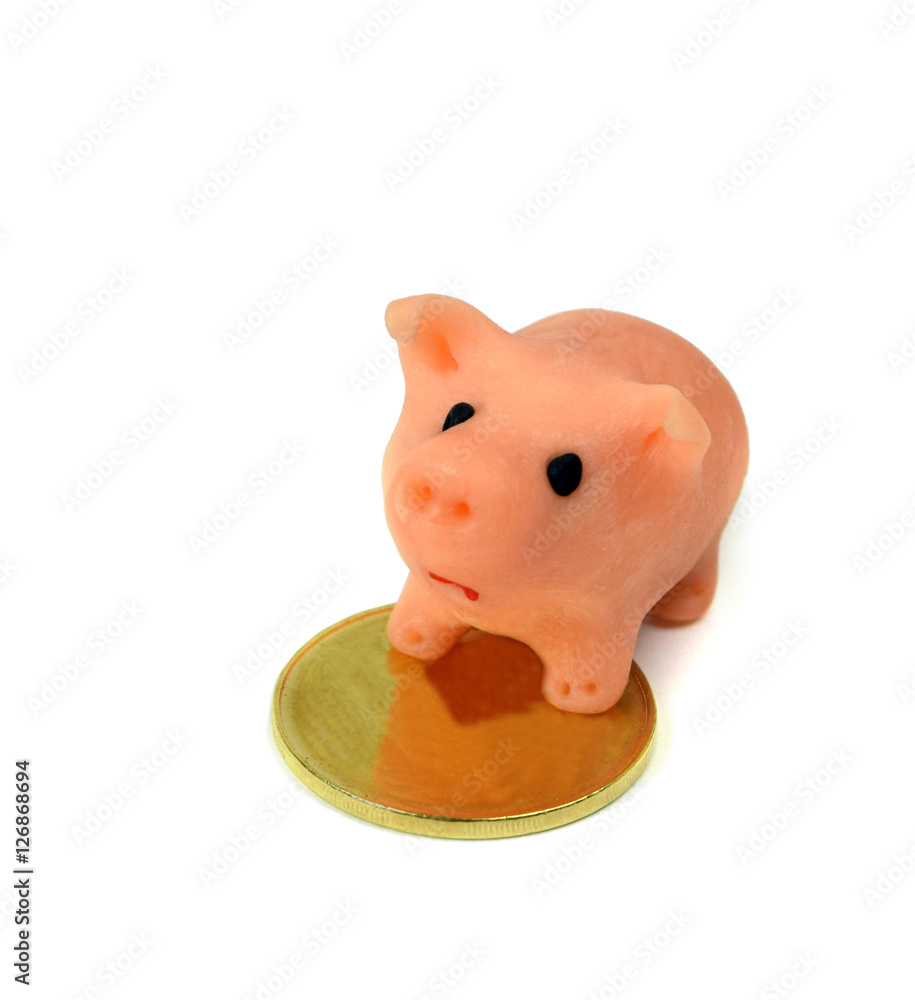 piggy bank and gold coin.Isolation piggy bank and gold coin.Isolation
