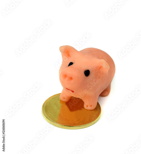 piggy bank and gold coin.Isolation photo