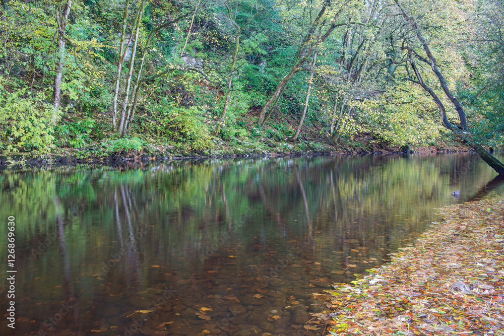 Autumn on the River Ure near Aysgarth Falls in the Yorkshire Dales National Park. The falls are a popular tourist spot. At 74 miles long it is the principal river of Wensleydale, famous for cheese.