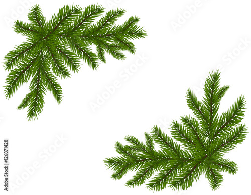 Two green spruce branches realistic. Placed in the corners. Fir branches. Isolated on white background. Christmas illustration