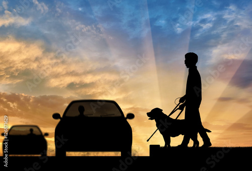 Blind disabled person with cane and dog guide cross road sunset