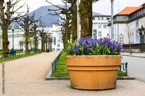 Park in centrum of Bergen. Norway photo