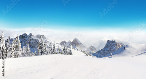 Beautiful winter landscape with trees © Jag_cz