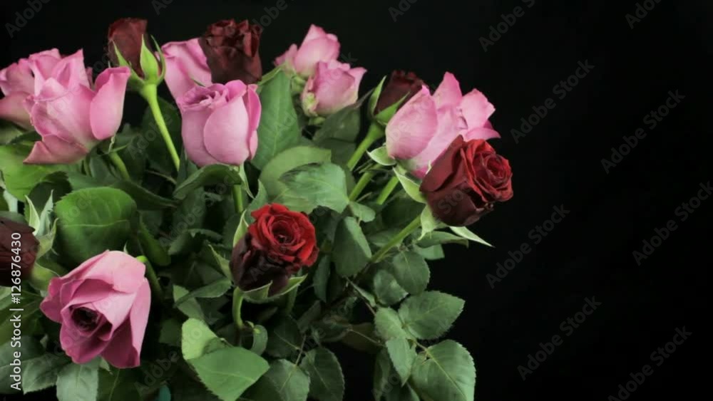Bouquet of roses on a black background rotates Bouquet of roses on a black background rotates