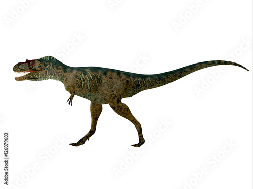 Albertosaurus Dinosaur Side Profile - Albertosaurus was a theropod carnivorous dinosaur that lived in the Cretaceous Period of North America.