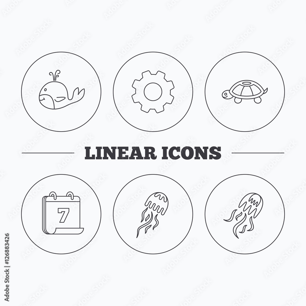 Turtle and jellyfish  icons. Whale linear sign. Flat cogwheel and calendar symbols. Linear icons in circle buttons. Vector