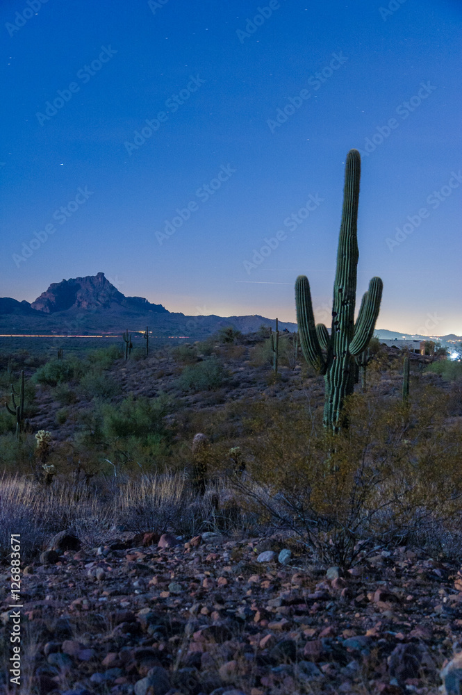 Gunsight Pass in the Moonlight