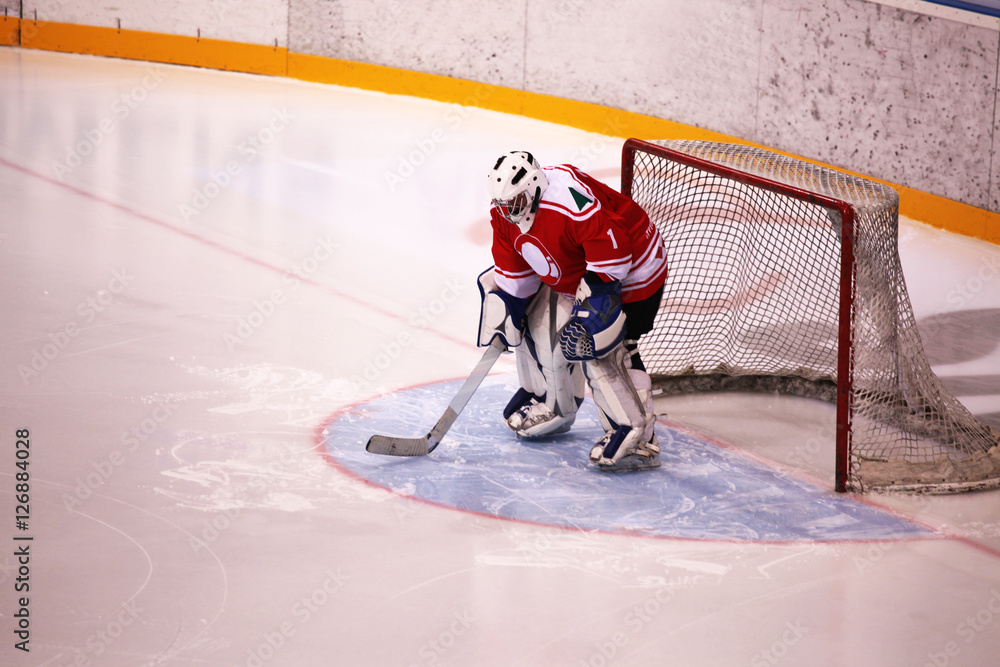 Naklejka premium Eishockey Weltmeisterschaft