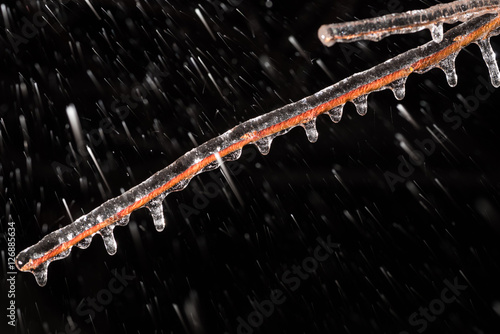 Branch in icy incrustation with snow and wind