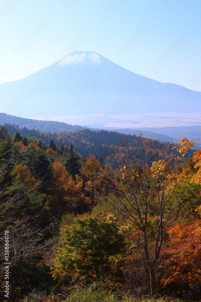 忍野村　二十曲峠から見た富士山
