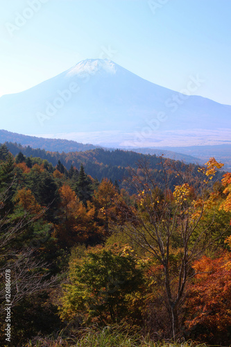 忍野村 二十曲峠から見た富士山