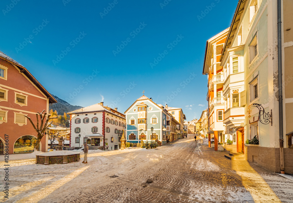 houses of alpine village