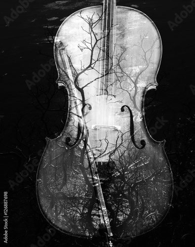 Print op canvas Cello with nature overlay