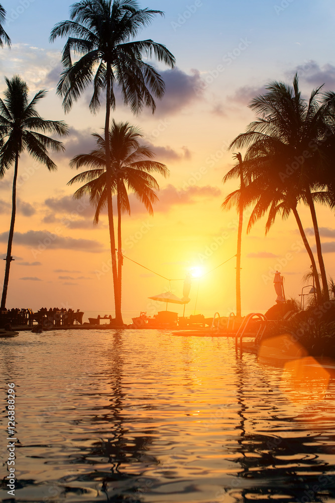 Beautiful sunset on sea beach with palm tree.