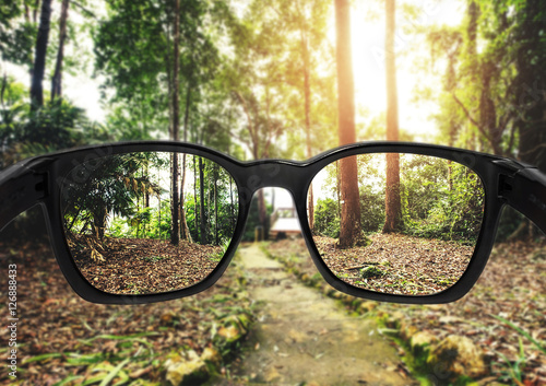 Glasses with forest and beautiful bright sunlight