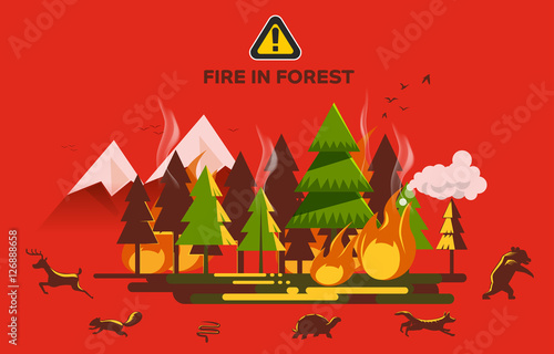 Forest fires burn fast. Wild animals run for their lives. The accident occurred because the heat. The danger of wildfire.