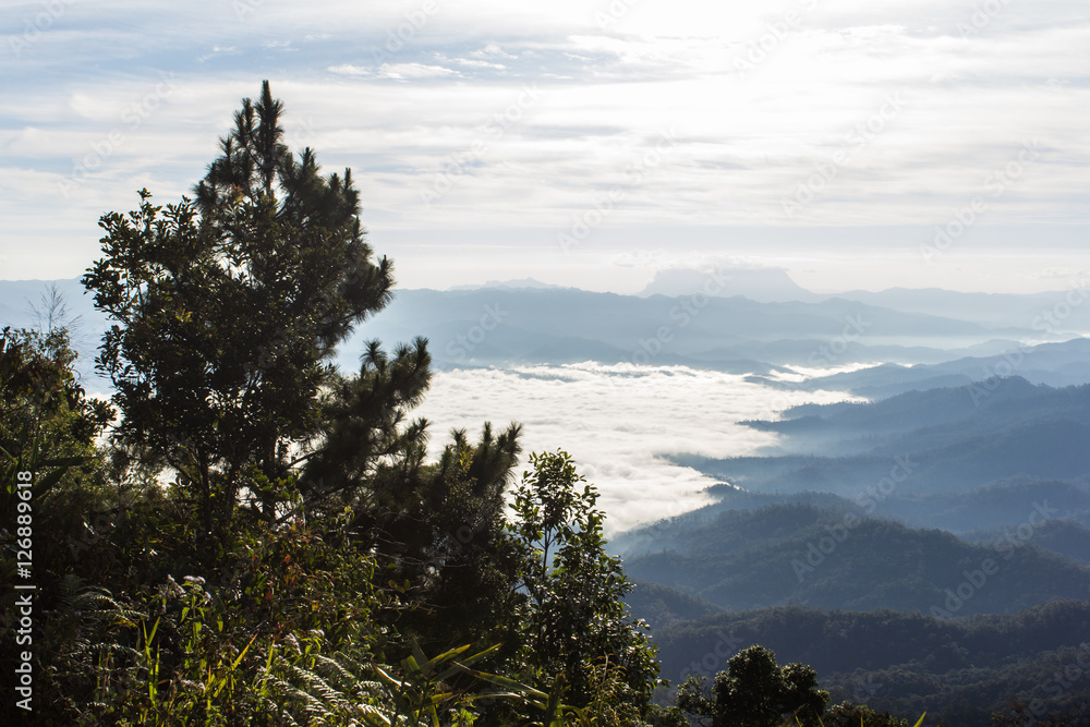 Sea Of Mist With Doi Luang Chiang Dao, View Form Doi Dam in Wianghaeng