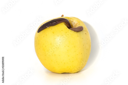 Fotografija Rotten apple with a large worm isolated on white