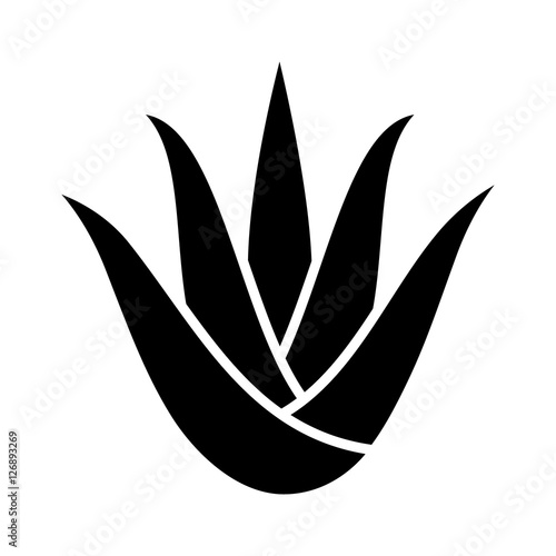 Aloe vera plant with leaves flat icon for apps and websites