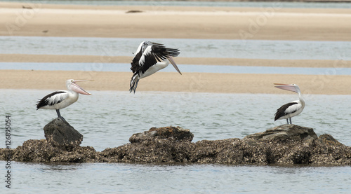 Nambucca Heads, New South Wales, Australia. photo