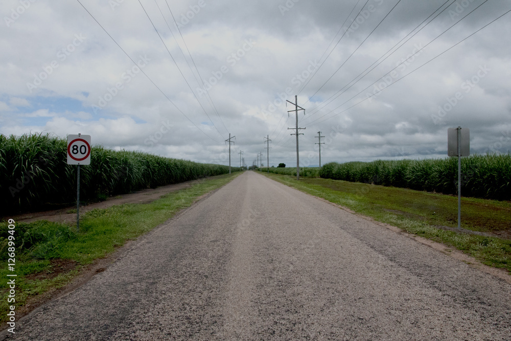 Sugar cane road