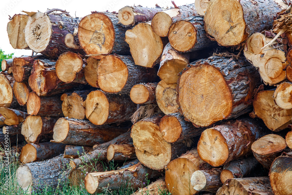 Wooden logs background