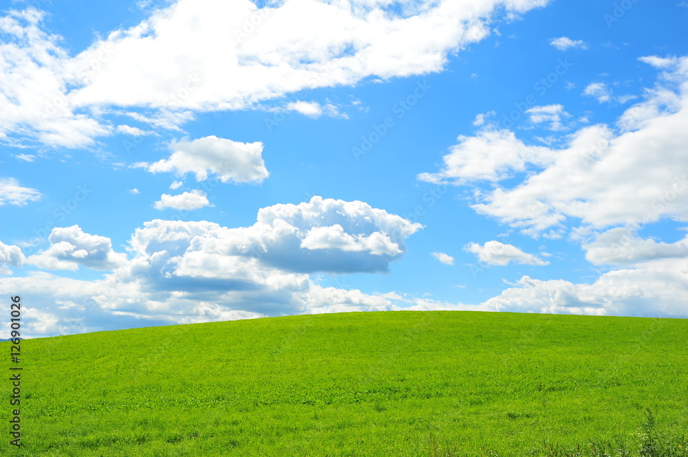 Landscape of Cultivated Lands at Countryside 