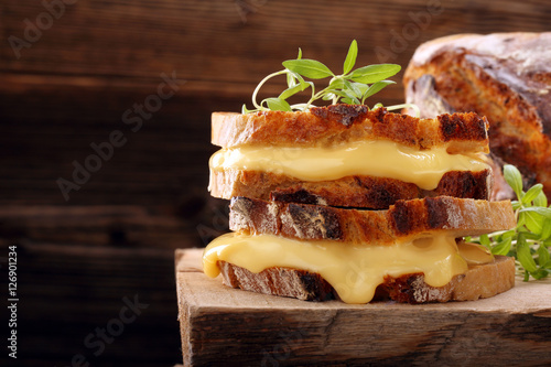 Fresh sandwich with cheese and herbs
